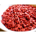 goji berry wholesale distributor